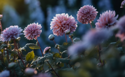 Yours Gardener